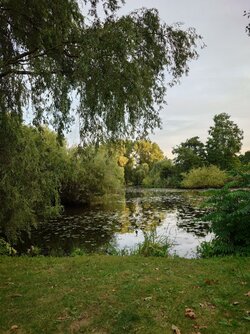20250827_195249.JPG