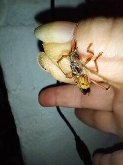 IMG_20250827_180932.jpg