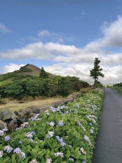 IMG_20250827_095230.jpg