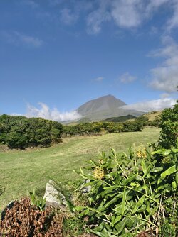 IMG_20250827_102052.jpg