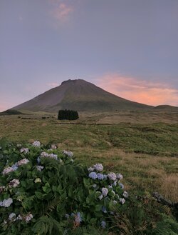 IMG_20250827_203752 (1).jpg