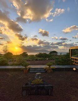 IMG_20250827_201225.jpg