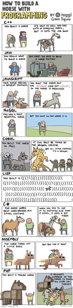 toggl-how-to-create-horse-with-programming.jpg