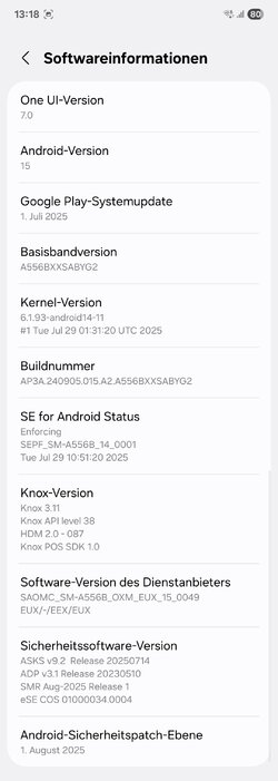 Screenshot_20250828_131801_Settings.jpg