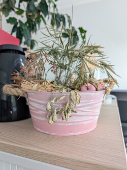 PXL_20250828_114511572.jpg