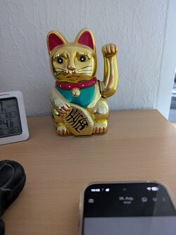 PXL_20250828_124547775.jpg