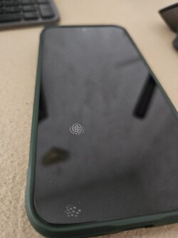 20250828_145812.jpg