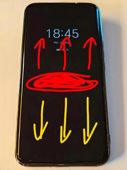 1000052891.jpg
