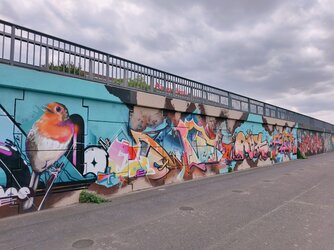 IMG_20250821_135805.jpg