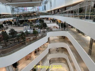 IMG_1671.jpeg