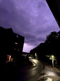 IMG_3201.jpeg