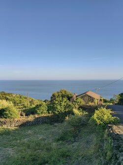 IMG_20250828_185150.jpg