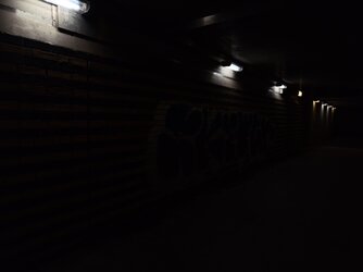 IMG20250829052255.jpg