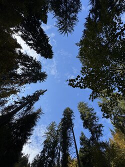 IMG_7769 2.jpeg