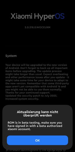Screenshot_2025-08-29-21-05-03-969_com.android.updater-edit.jpg