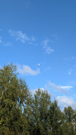 PXL_20250829_164457464.jpg