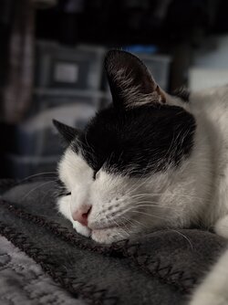 IMG_20250829_170055.jpg