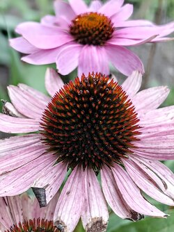 IMG_20250829_192049652~2.jpg