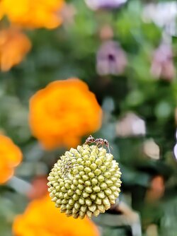 IMG_20250829_195410132~2.jpg