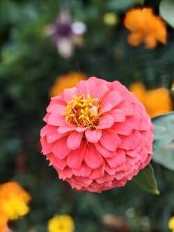 IMG_20250829_195337628~2.jpg