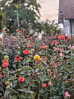 IMG_20250829_195448574~2.jpg