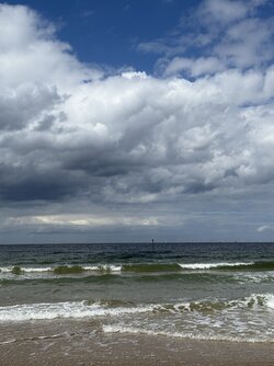 IMG_6609 2.jpeg