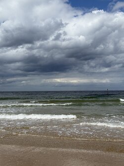 IMG_6608 2.jpeg