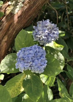 IMG_20250829_163405.jpg