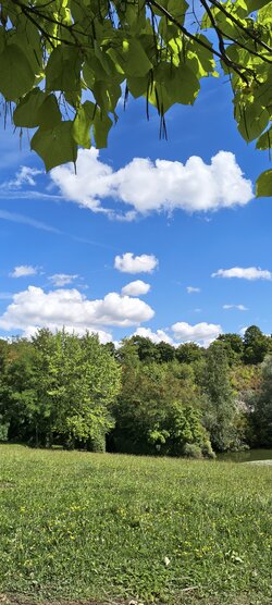 IMG_20250829_134510951_HDR.jpg