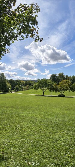 IMG_20250829_135238855_HDR.jpg
