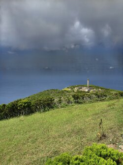 IMG_20250825_131152.jpg