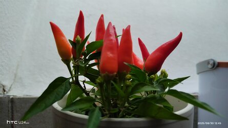 30.8.2025aa.jpg