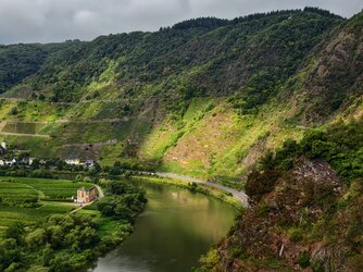 IMG_20250830_095116 (1).jpg