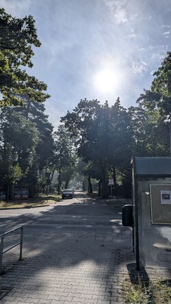PXL_20250830_071544330.jpg