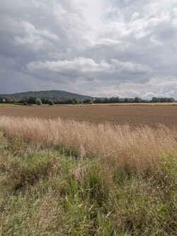IMG_250830_135555.jpg