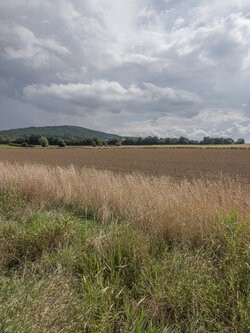 IMG_20250830_135601.jpg