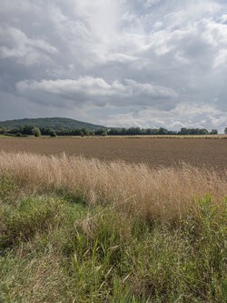 pro_20250830_135605.jpg