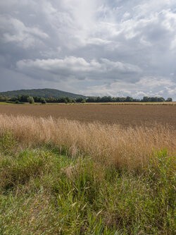 IMG_20250830_135601-2.jpg