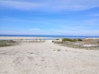 IMG_20250830_105917.jpg