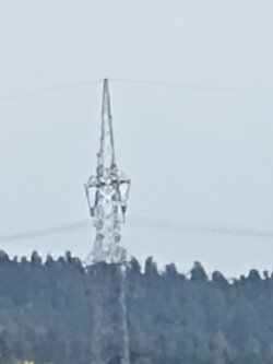 100 fach original 2.jpg