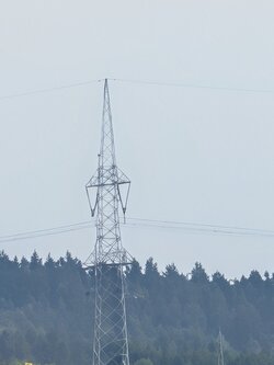 100 fach KI (2).jpg