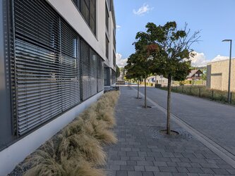 01 P9.jpg