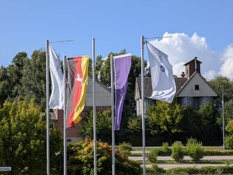 03 P9 10x.jpg