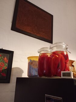 IMG_20250830_174406.jpg