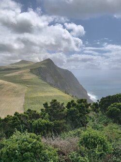 IMG_20250825_131456.jpg