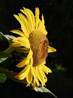 20250831_083431773.JPG