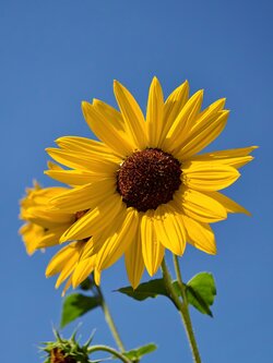 IMG_20250831_110805.jpg