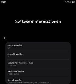 Screenshot_20250831_125021_Settings.jpg