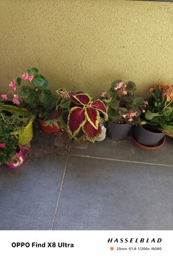 IMG20250831151537.jpg
