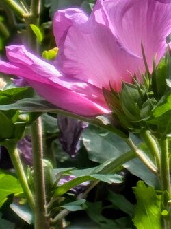 PXL_20250831_110135848.BURST-01.jpg